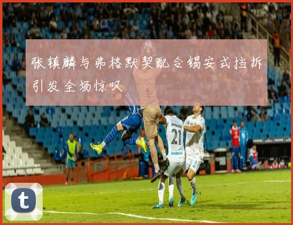 张镇麟与弗格默契配合锡安式挡拆引发全场惊叹